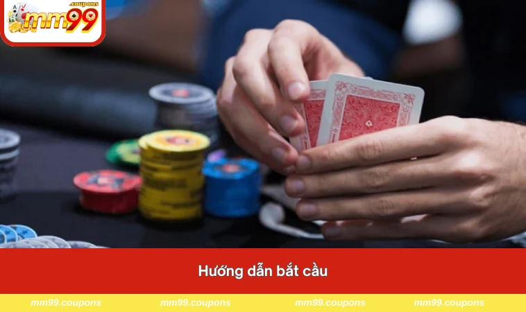 Hướng dẫn bắt cầu