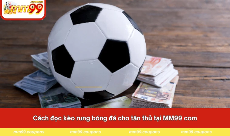 Cách đọc kèo rung bóng đá cho tân thủ tại MM99 com