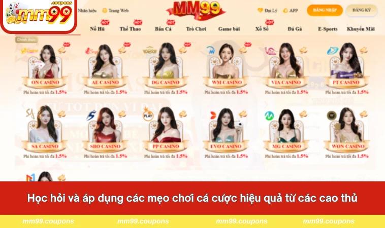 Học hỏi và áp dụng các mẹo chơi cá cược hiệu quả từ các cao thủ