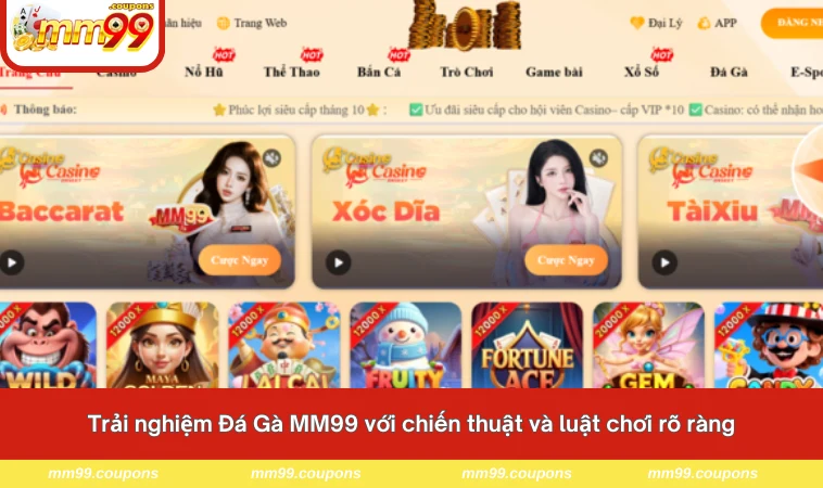 Trải nghiệm Đá Gà MM99 với chiến thuật và luật chơi rõ ràng